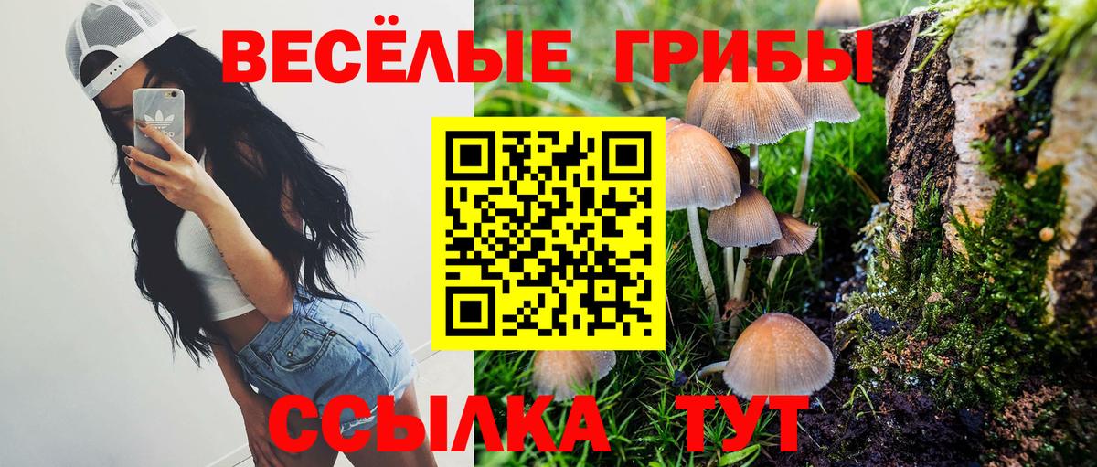 Анжеро-Судженск  Галлюциногенные грибы Magic Shrooms  Галлюциногенные грибы GOLDEN TEACHER  Вход с VPN 