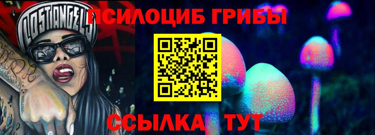 Псилоцибиновые грибы GOLDEN TEACHER Анжеро-Судженск